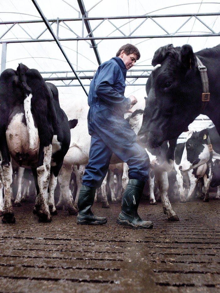 PU - Bota Purofort  S5